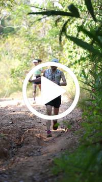 BIB:  <button type="button" onclick="openModal(27376815)" class="btn btn-primary btn-sm float-right" data-toggle="modal" data-target=".modal-high-quality">
                <i class="fa fa-download"></i> Download
                </button>